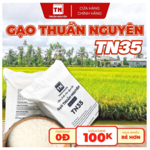 Gạo Thuần Nguyên TN35 — Niềm Tự Hào Của Người Việt