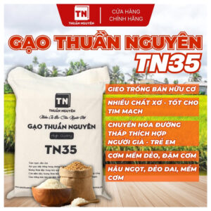 Đặc Điểm Nổi Bật Của Gạo Thuần Nguyên TN35